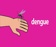 Verano 2023: ¡Cuidado Dengue!